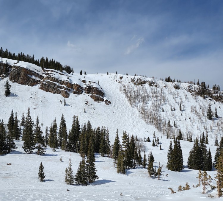 Snowmass Skiing Ski Area (Snowmass&nbspVillage,&nbspCO)